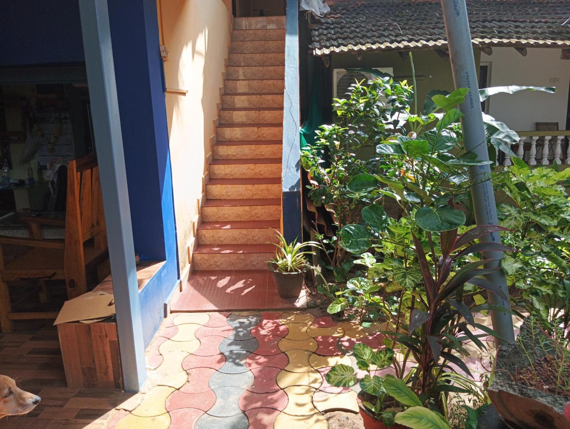 Monsoon Hotell Agonda Rom bilde